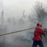 Floresta queimada em Portugal