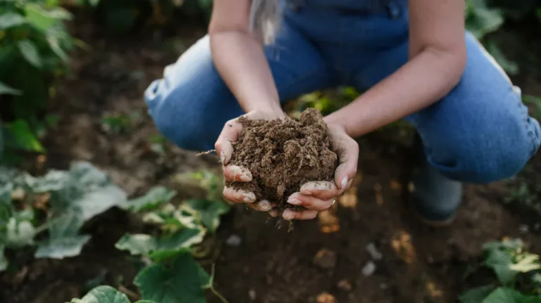 Por que está todo mundo falando de agricultura regenerativa (até um surfista) 