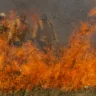 Bombeiros vistos através de chamas de incêndio florestal