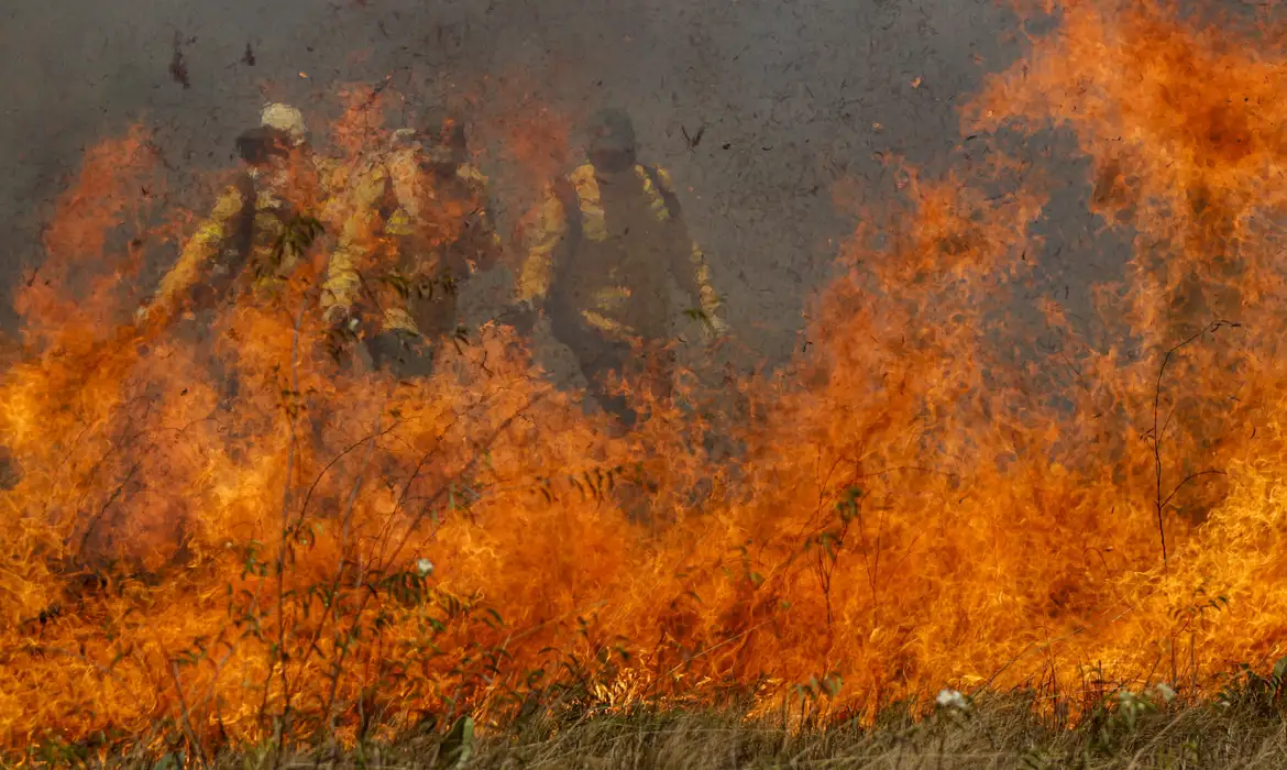 Bombeiros vistos através de chamas de incêndio florestal