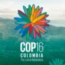 COP16 da biodiversidade: o que é e por que importa?