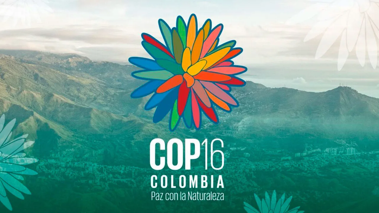 COP16 da biodiversidade: o que é e por que importa?