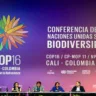 Por que as empresas brasileiras estão em peso na COP da Biodiversidade?