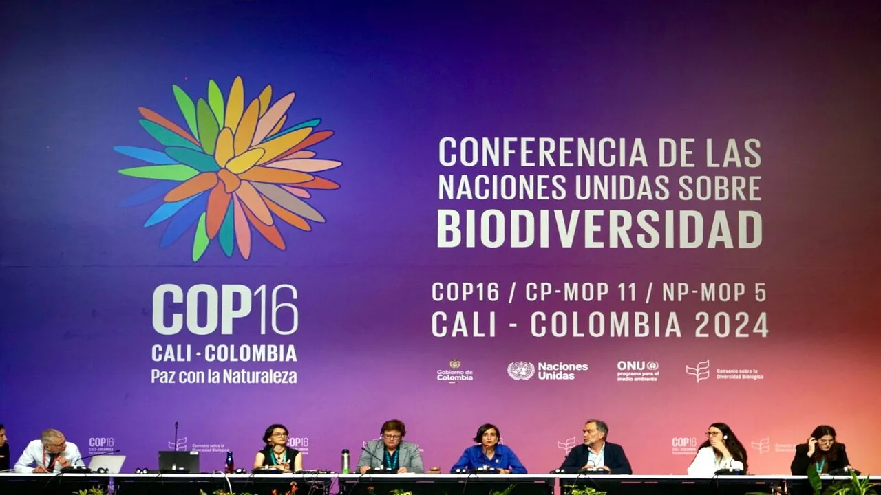 Por que as empresas brasileiras estão em peso na COP da Biodiversidade?