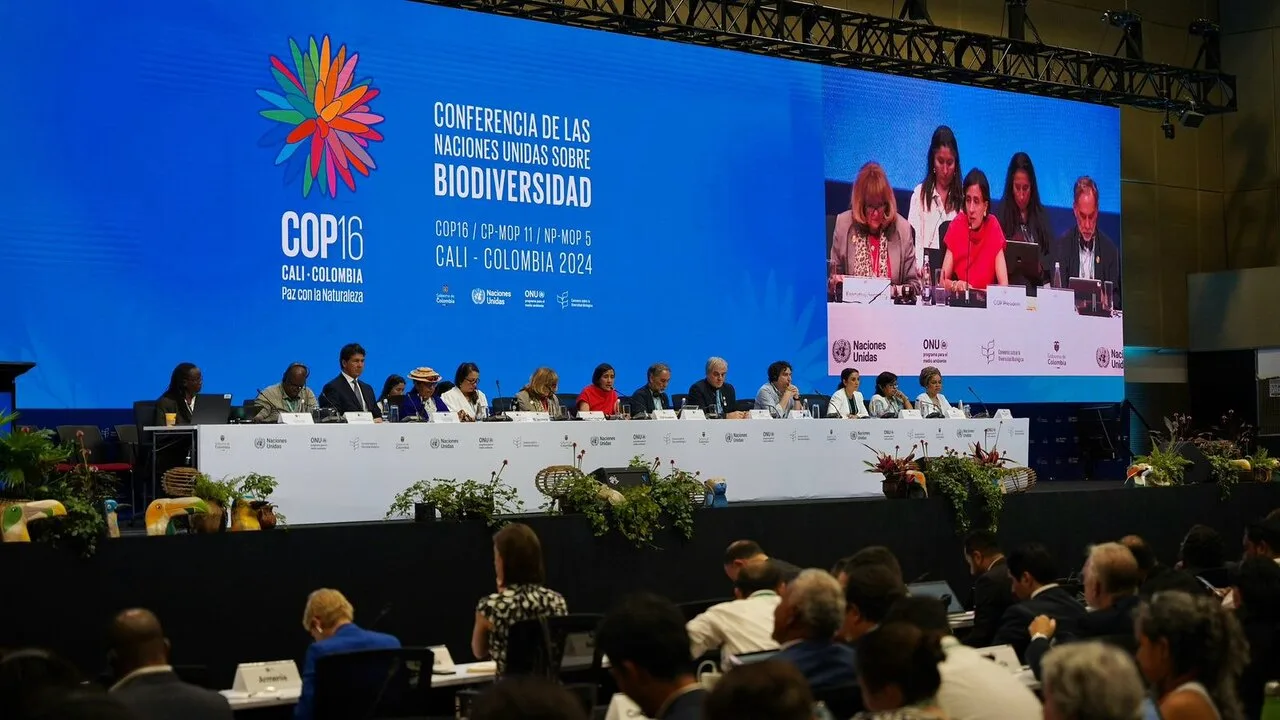 COP16 não consegue superar impasse sobre financiamento