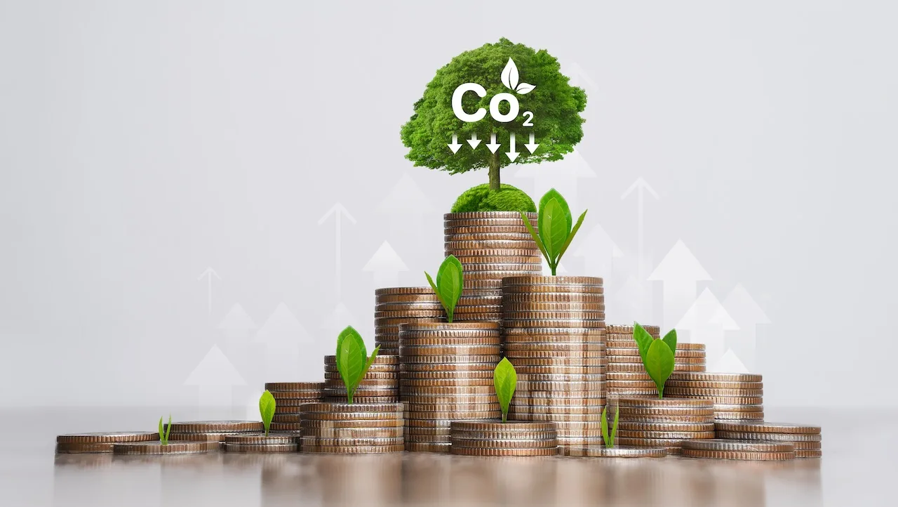 Artigo 6: os próximos passos para o mercado de carbono global