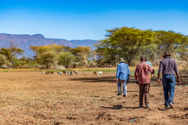 Desertificação avança em todo o planeta, aponta estudo da ONU