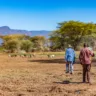 Desertificação avança em todo o planeta, aponta estudo da ONU