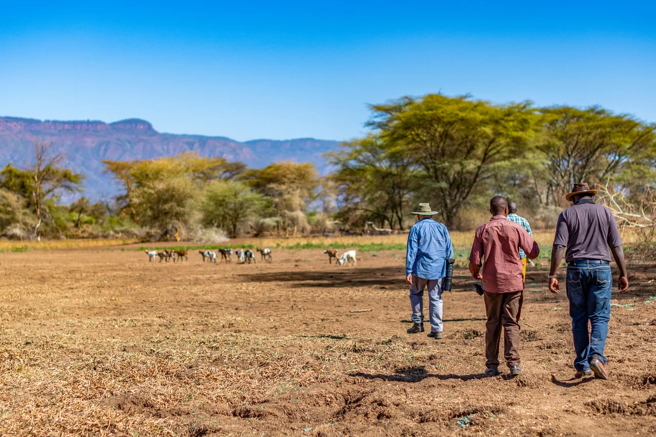 Desertificação avança em todo o planeta, aponta estudo da ONU