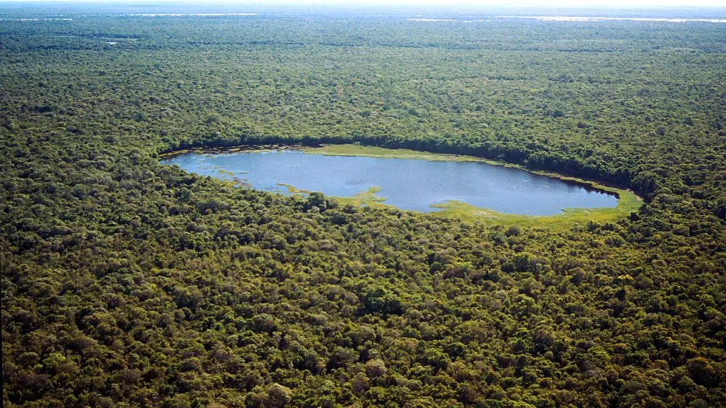 A empresa que investiu milhões nos créditos de carbono do Tocantins