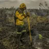 COP30: O Brasil precisa cair na real