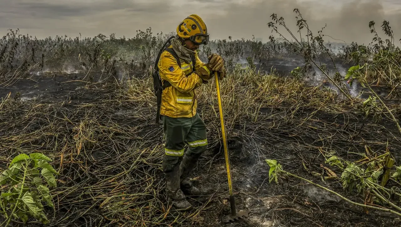 COP30: O Brasil precisa cair na real