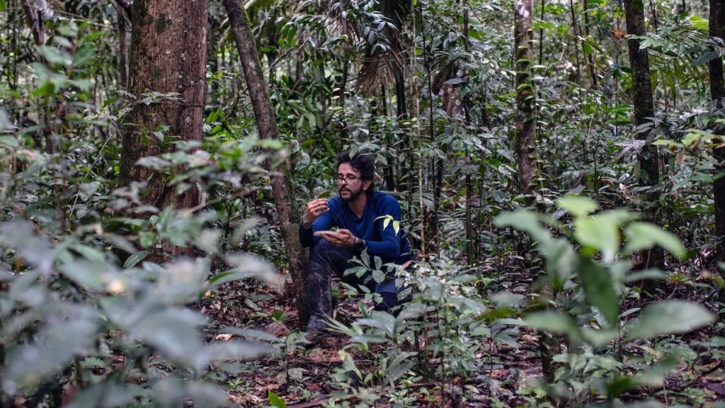 Na Agropalma, proteção da biodiversidade na Amazônia já beneficia o negócio