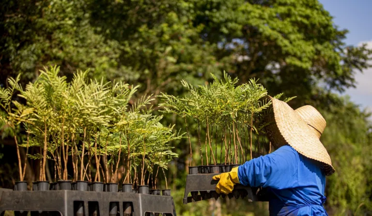 Re.green consegue garantia e destrava R$ 80 milhões do Fundo Clima