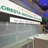 Governo concede 450 mil hectares de florestas para manejo e exploração sustentável de madeira