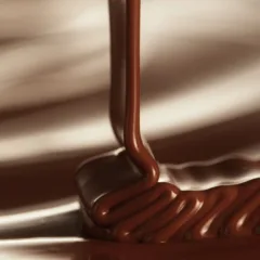 Fábrica de chocolate da Amazônia recebe aporte de R$ 8 milhões
