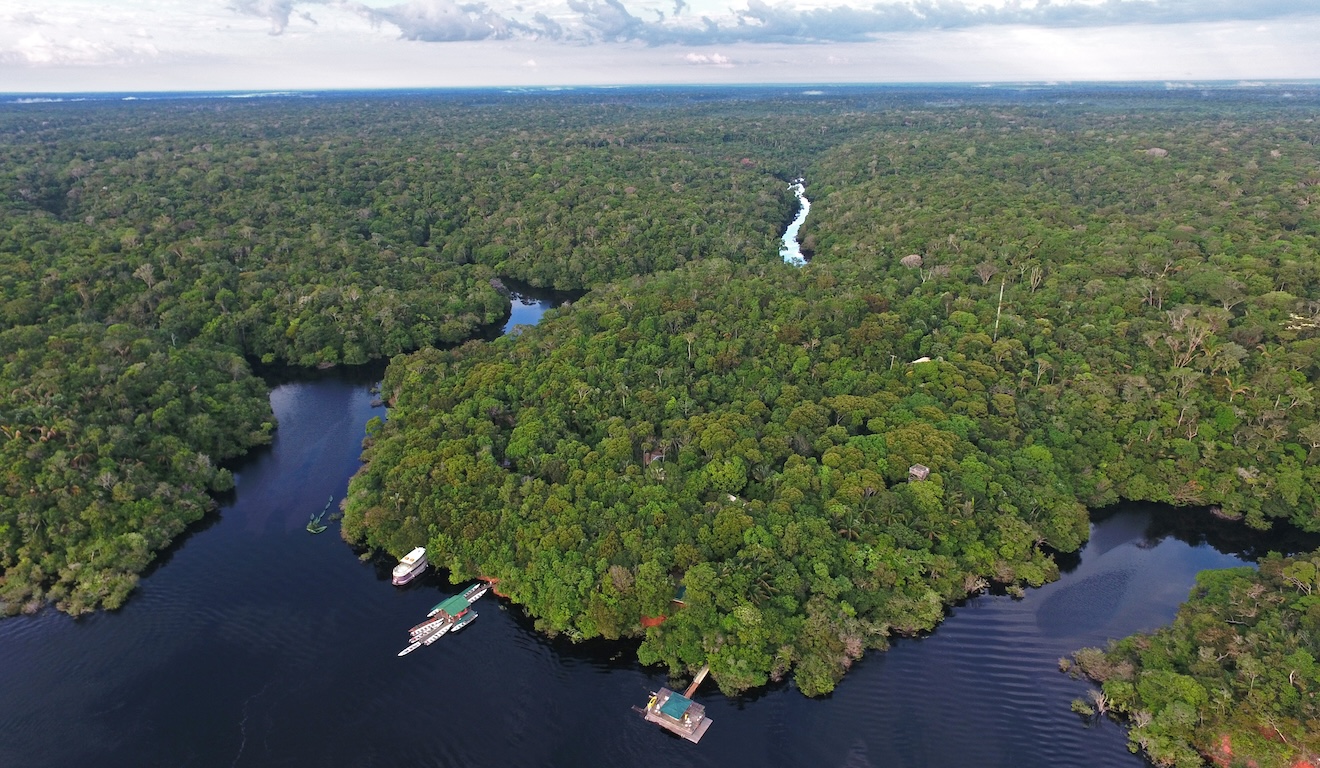 Enviado especial da COP30: Amazônia não é ré, é credora no balanço ambiental do mundo