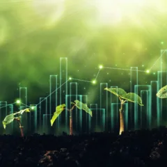 Edital de R$ 25 milhões busca startups de bioeconomia na Amazônia 