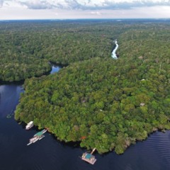 Enviado especial da COP30: Amazônia não é ré, é credora no balanço ambiental do mundo