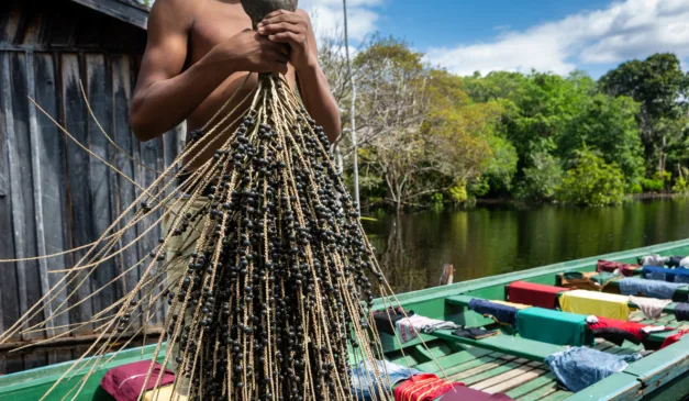 Mapeamento inédito quer atrair capital para bioeconomia de povos indígenas e tradicionais