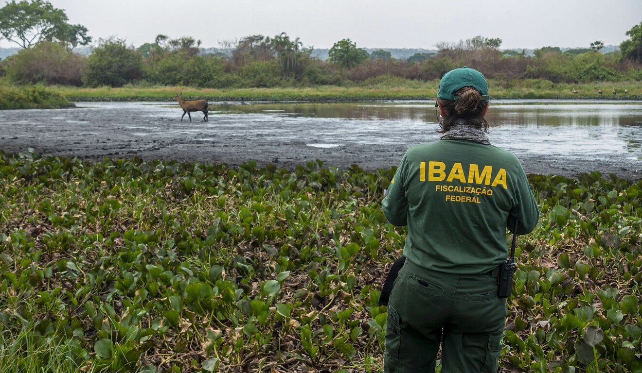 Câmara aprova lei que flexibiliza licenciamento ambiental – entenda as mudanças Câmara aprova lei que flexibiliza licenciamento ambiental – entenda as mudanças