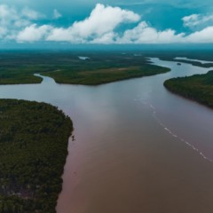 Piauí quer gerar 20 milhões de créditos de carbono até 2030