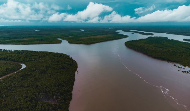 Piauí quer gerar 20 milhões de créditos de carbono até 2030