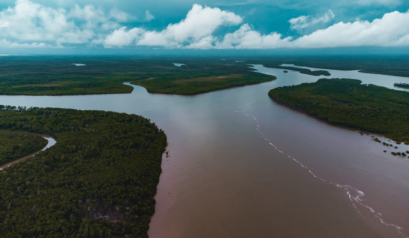 Piauí quer gerar 20 milhões de créditos de carbono até 2030