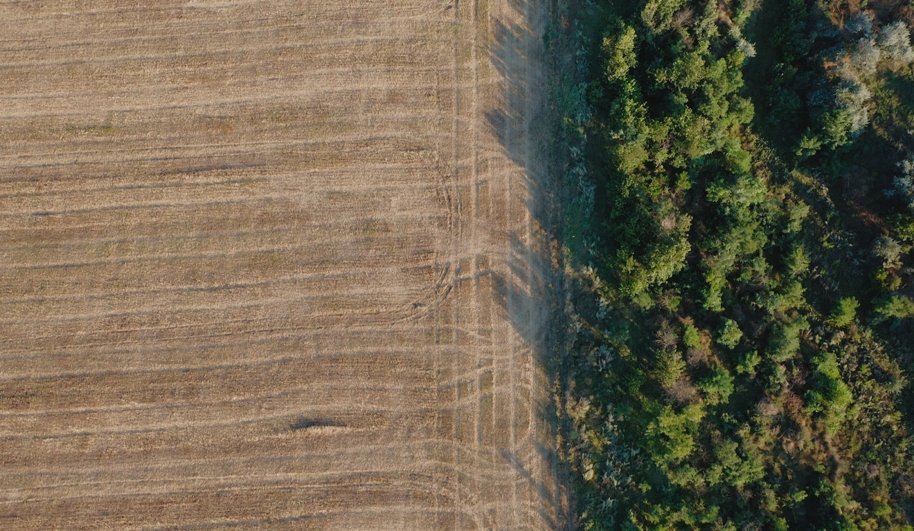 Em planos de descarbonização, parte do desmatamento entra na conta do agro Em planos de descarbonização, parte do desmatamento entra na conta do agro