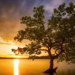 A Natureza em juízo – como parte autora?