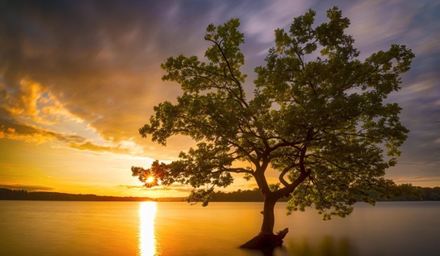 A Natureza em juízo – como parte autora?