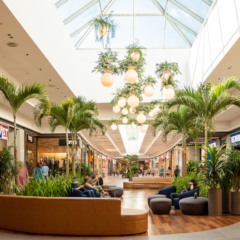 A Allos quer manter seus shoppings frescos – e cortando emissões