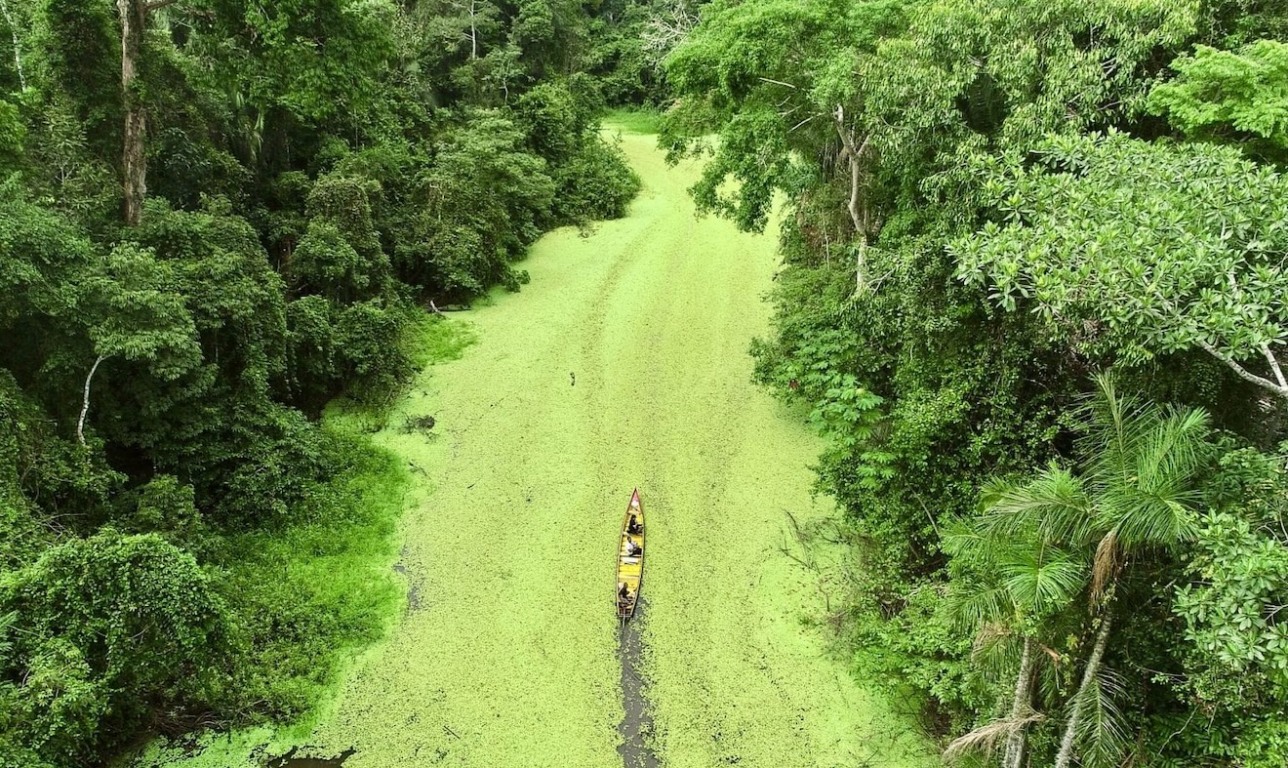 Floresta Amazônica no Acre