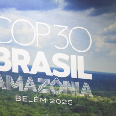 O que a ‘COP da verdade’ nos ensinou