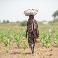 Menina em lavoura no Chade, África