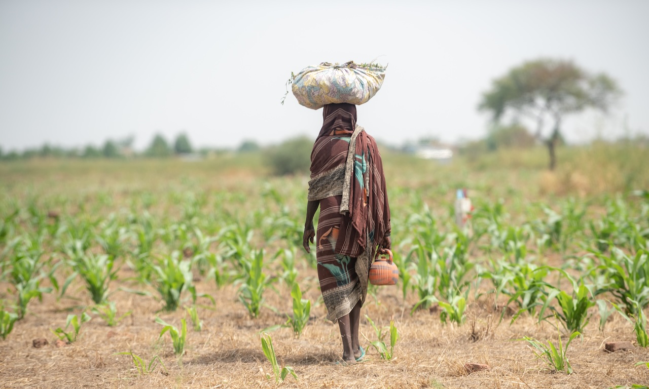 Menina em lavoura no Chade, África