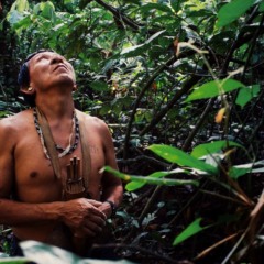 Indígena brasileiro na floresta amazônica