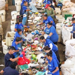 Logística reversa: cooperativas geraram R$ 114 milhões de receita em 2024