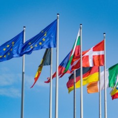 UE vai propor novo adiamento da lei antidesmatamento