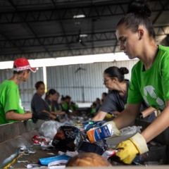 Programa de logística reversa recuperou 200 mil toneladas de embalagens em 2024