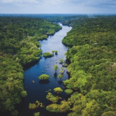 Como o Grupo Carrefour Brasil está redesenhando a cadeia alimentar alinhado à agenda climática