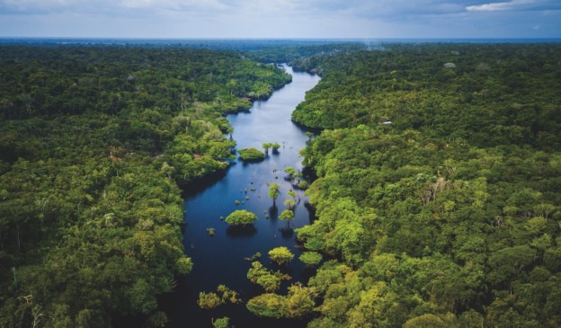 Como o Grupo Carrefour Brasil está redesenhando a cadeia alimentar alinhado à agenda climática