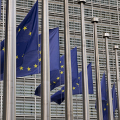 Multinacionais pressionam UE contra novo adiamento da lei antidesmatamento