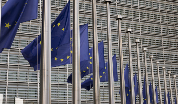 Multinacionais pressionam UE contra novo adiamento da lei antidesmatamento