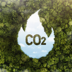 Preço-prêmio de carbono: a nova fase do jogo