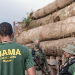 Congresso derruba vetos do licenciamento em revés para a pauta ambiental