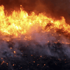 Incêndio florestal (Agência Brasil)