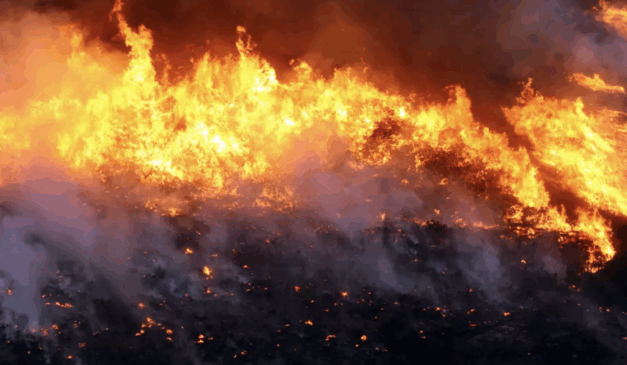 Incêndio florestal (Agência Brasil)