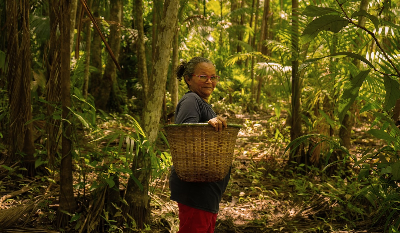 Na COP30, Natura quer mostrar que regeneração é oportunidade de negócio
