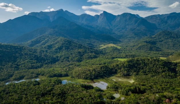 Vista de área da Mata Atlântica no Rio de Janeiro
